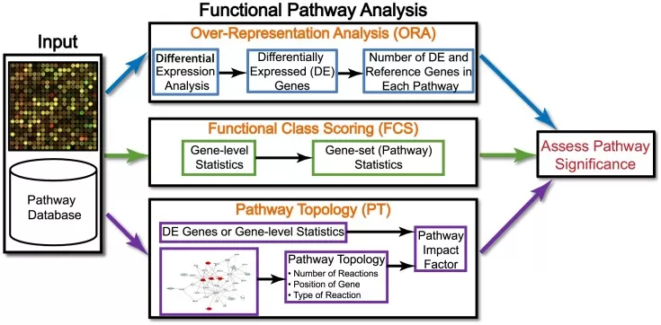 Overview of pathway analysis methods including ORA and GSEA for gene expression data